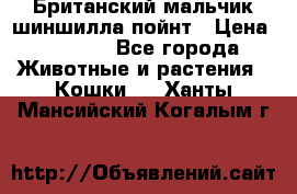 Британский мальчик шиншилла-пойнт › Цена ­ 5 000 - Все города Животные и растения » Кошки   . Ханты-Мансийский,Когалым г.